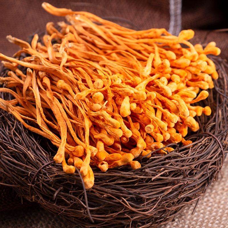 AAA级大孢子头虫草花干货新鲜 无硫金虫草北虫草蛹虫草煲汤食用