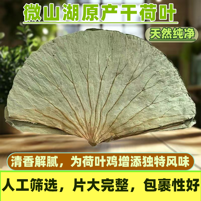 荷叶整张干货干荷叶批发糯米鸡荷叶干叫花鸡专用今年新货商用大张
