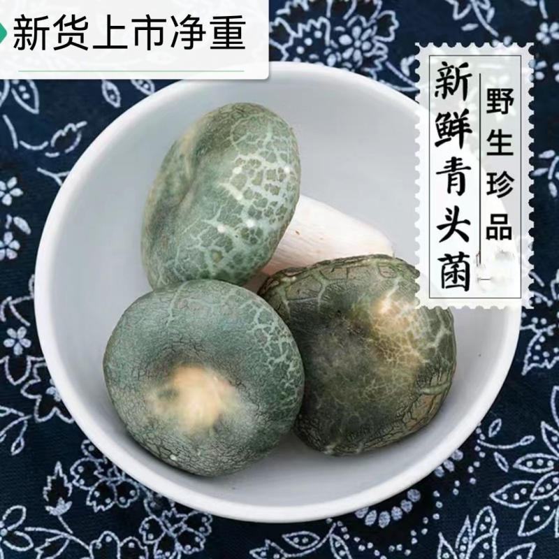 云南野生青头菌干货梨菇云南特产蘑菇绿豆菌野生菌干货青菇杂菌