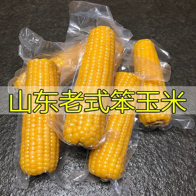 老式笨玉米真空即食普通黄玉米棒新鲜苞米棒不甜不糯玉米