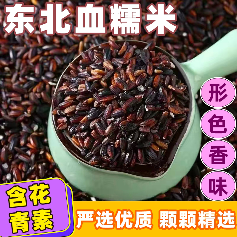 精选血糯米正宗黑米农家黑糯米紫米新米杂粮紫米饭粽子奶茶杂粗粮