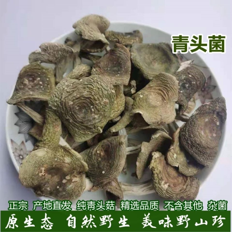 新鲜干货纯野生蘑菇青菇农家青梨菇煲汤绿豆野生干菌子青头菌新鲜