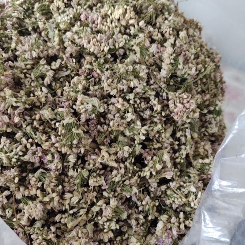 新货摘麻花农家野生干葱花摘蒙花摘麻麻花野葱花精品瓶装炝锅调料