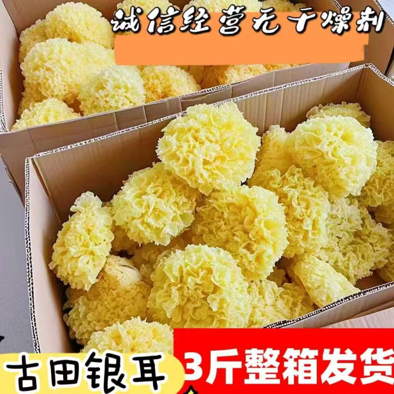 银耳软糯精品大花银耳干货农家古田百合白木耳雪耳糯耳胶质无硫