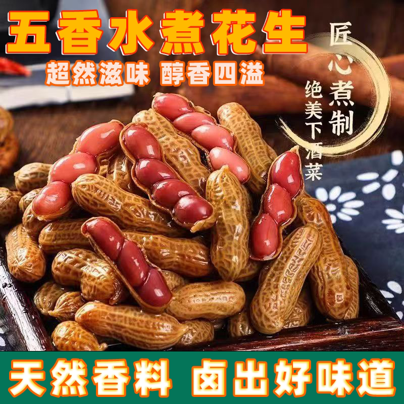 五香水煮花生老卤香辣味烧烤撸串搭档慢卤入味香辣带壳真空包装