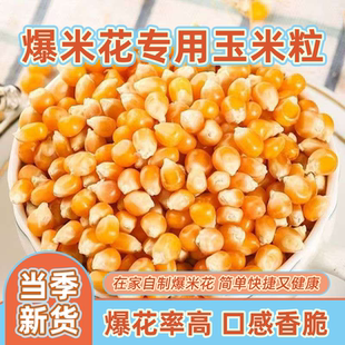 爆米花球形专用玉米粒玉米家用自做自制爆米花原料爆裂商用批发
