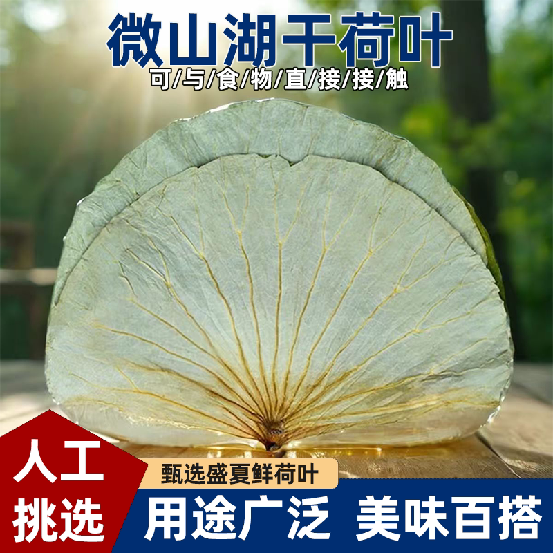 家用微山湖荷叶整张天然干荷叶荷叶粥叫花鸡荷叶饭大张干荷叶商用