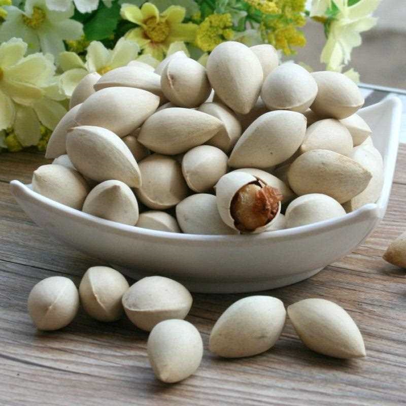 干白果 干货 无硫 生白果 香料卤菜增香 银杏果煲汤 调味料 批发