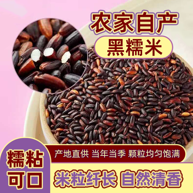 东北血糯米新米糯米农家自产特价批发杂粮粗粮粽子米软糯黑糯米
