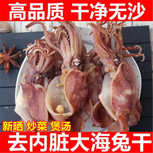 去内脏海兔干包邮新鲜乌贼笔管鱼海兔子墨鱼仔鱿鱼仔鱿鱼干货大号