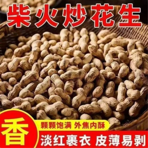 铁锅炒花生小珍珠农家花生原味零食带壳花生新货花生新鲜炒熟酥脆