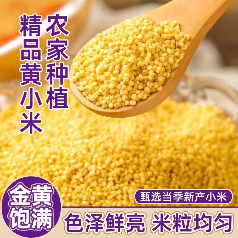 新货黄小米农家自种新米月子煮粥杂粮新米营养丰富早餐五谷杂粮