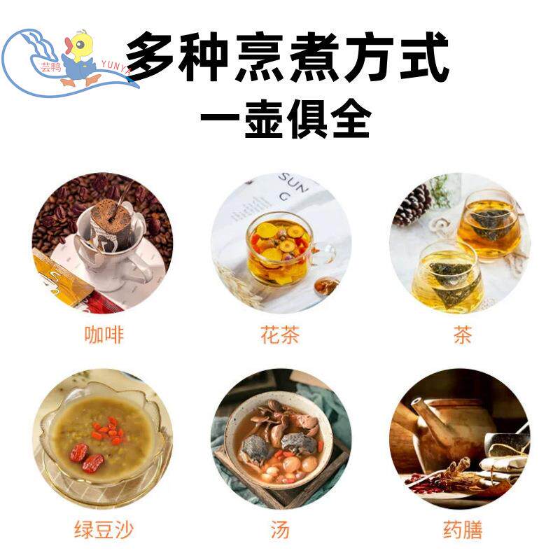 厂家跨境110V美规养生壶玻璃花茶壶 多种功能煮茶器电水壶煎药壶