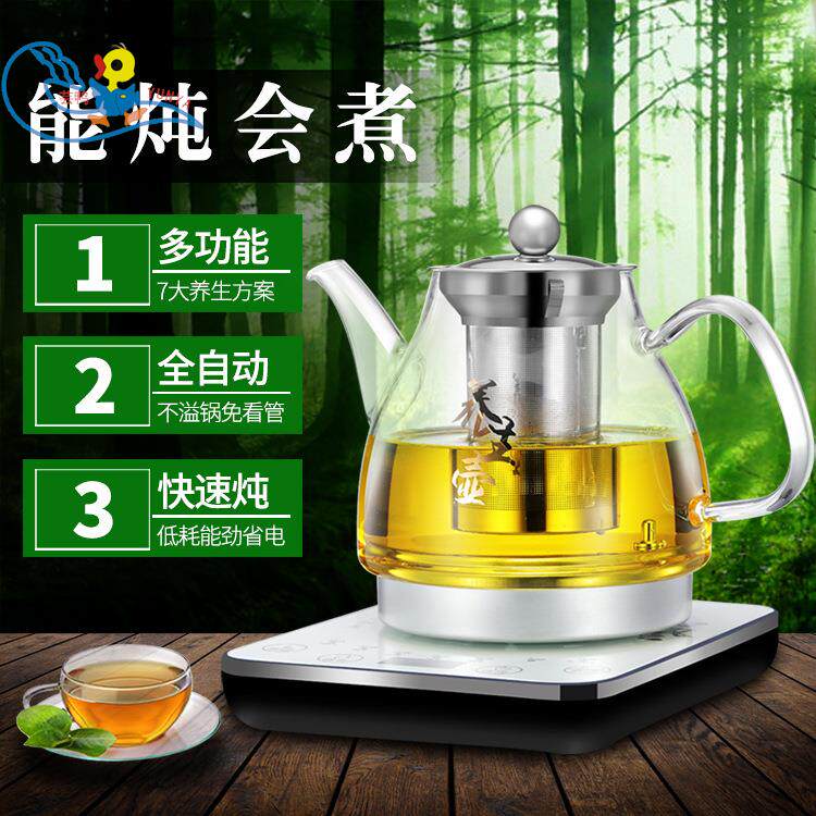 养生壶办公室小型迷你茶壶玻璃烧水壶电热煮茶壶中药锅家用