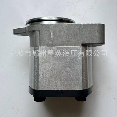 RexrothA8VO55A8VO80A8VO107A8VO140液压泵配件补油泵齿轮泵
