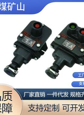 矿用隔爆控制按钮现货供应BZA1-5/36矿用隔爆型控制按钮