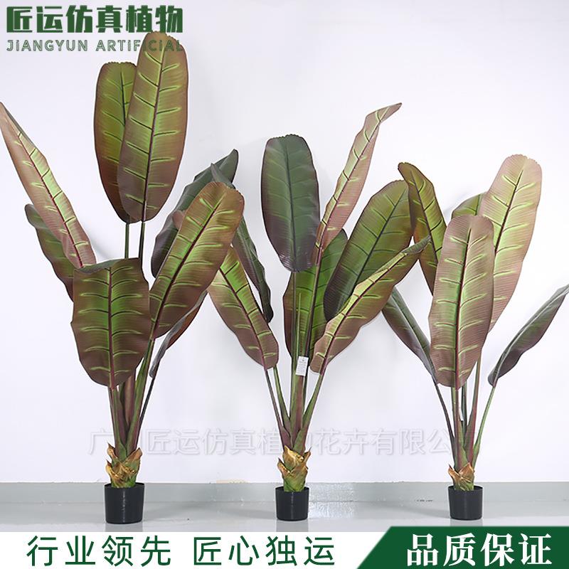 商场办公室造景热带雨林风格室内装饰大叶仿真植物摆件象腿芭蕉树