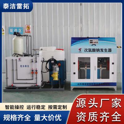 大型水厂自来水厂 城镇供水消毒设备500g电解法次氯酸钠发生器