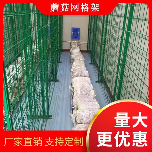 种植蘑菇网格片出菇架网格架蘑菇架子平菇网架食用菌网格网架