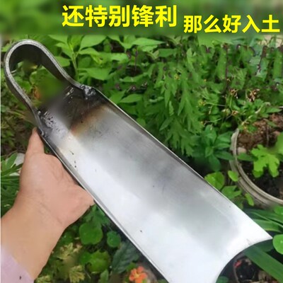 锄头锰钢农用挖土老式锄头弹簧钢锄草挖地翻地家用种菜高硬度锄头