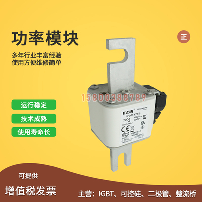 快速熔断器保险丝170M4258/4259/4260/4261/4262/4263/4264/4265