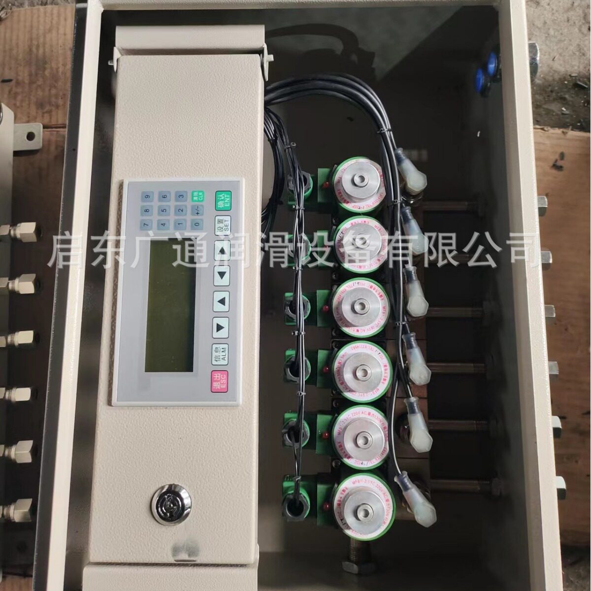 厂家信誉销售QJDL-24.QJDL-220-24智能分油器电磁给油器集成