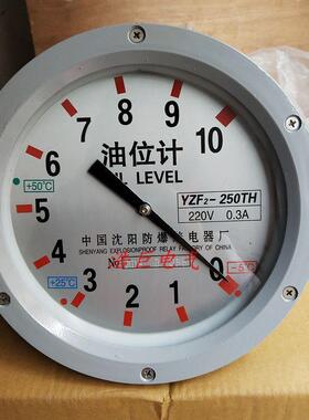 YZF2-250THYZS2-250TH油位计液位计变压器指针油位计