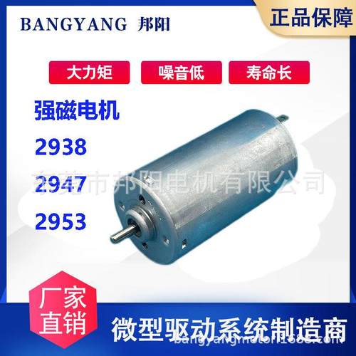 2947系列碳刷电机汽车执行器未来杯钕铁硼强磁低噪音电动窗帘电机