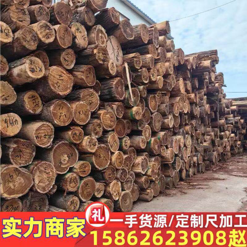 批发澳洲油柏原木木材寿材棺木料工艺品家装木材大小径油柏木