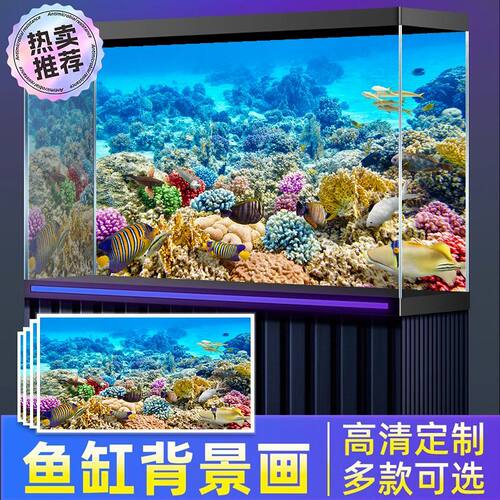 5d立体画高清图海底世界3d水族箱造景装饰贴纸自粘纸鱼缸背景贴纸