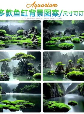 高级鱼缸背景贴纸图5d立体高清图立体画正胶中国风意境岩石缸造景