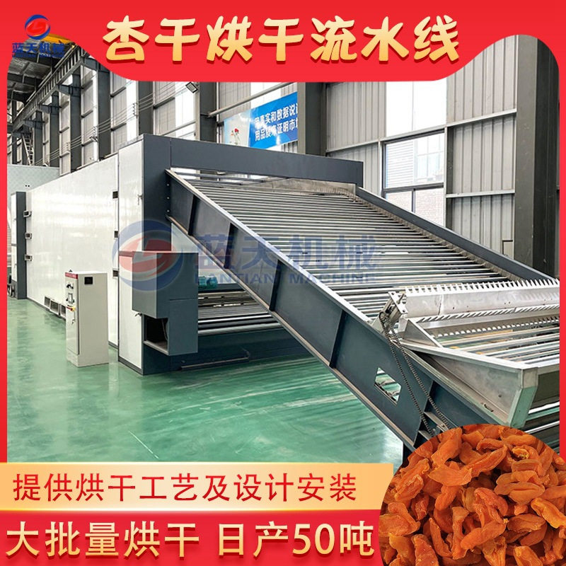 黄杏杏果干燥机 大型网带杏子去核烘干整套设备 全自动杏干烘干机,搬运/仓储/物流设备,输送机,淘宝优惠券,粉丝福利购,淘宝优惠卷