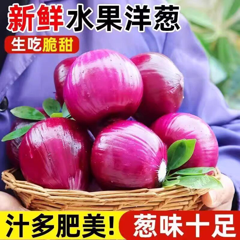 水果洋葱甜味生吃新鲜蔬菜不辣红皮二红大圆葱头批发产地直发包邮