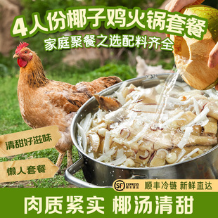 【顺丰发】酷可椰椰子鸡全套餐火锅食材正宗海南文昌散养走地鸡