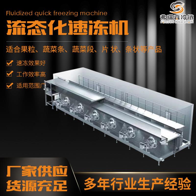 菠萝丁流态化速冻机毛豆玉米粒单冻机食品加工整线设备