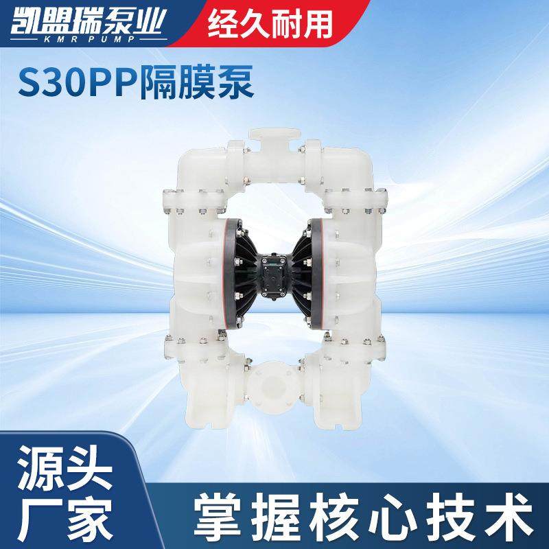 S30PP塑料隔膜泵源头厂家S30B3P2PPS100塑料隔膜泵机械装备隔膜泵