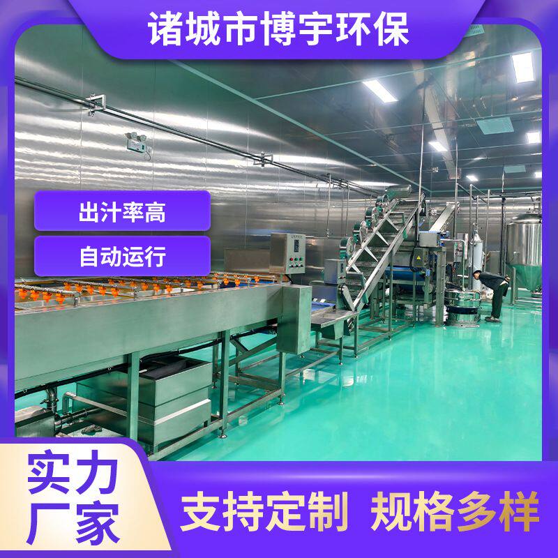 博宇全自动果蔬汁加工生产线 连续式果汁压榨机 全套果蔬榨汁设备