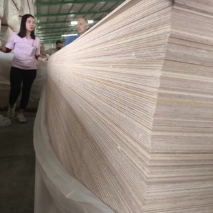 3～50mm柳桉胶合板桉木多层板板异形木板材木板建筑板工程加厚