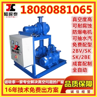 JZJ2S300 6真空泵19KW 2水环真空机组ZJP300罗茨增压泵 2SK