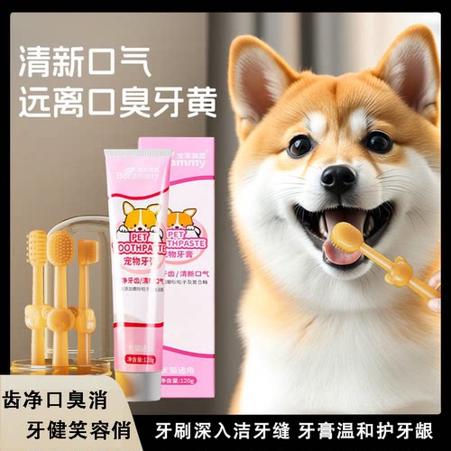 宠物硅胶牙刷套装清洁牙膏