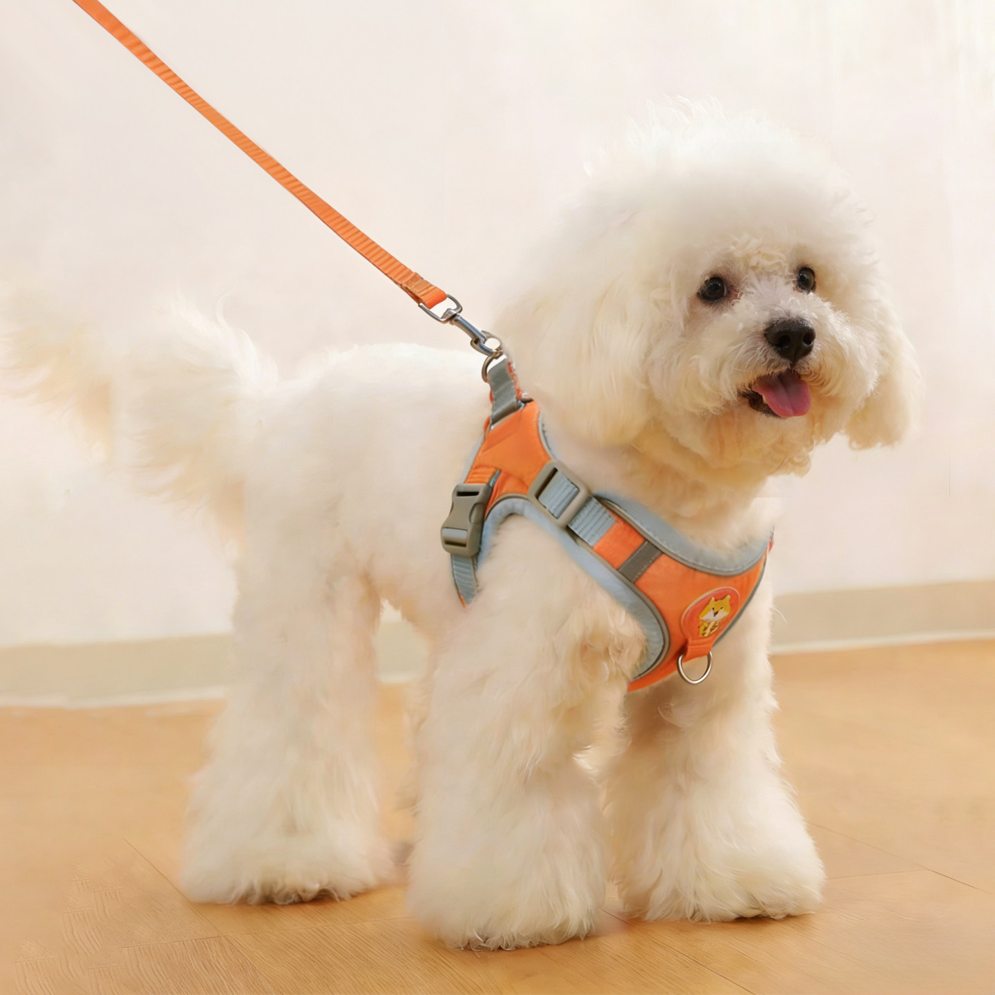 狗狗牵引绳背心式宠物狗链子遛狗绳小型犬泰迪比熊博美幼犬胸背带