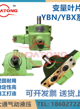 银川双力YBX系列变量叶片泵YBX-25/J YBX-40/16/63/20BV3