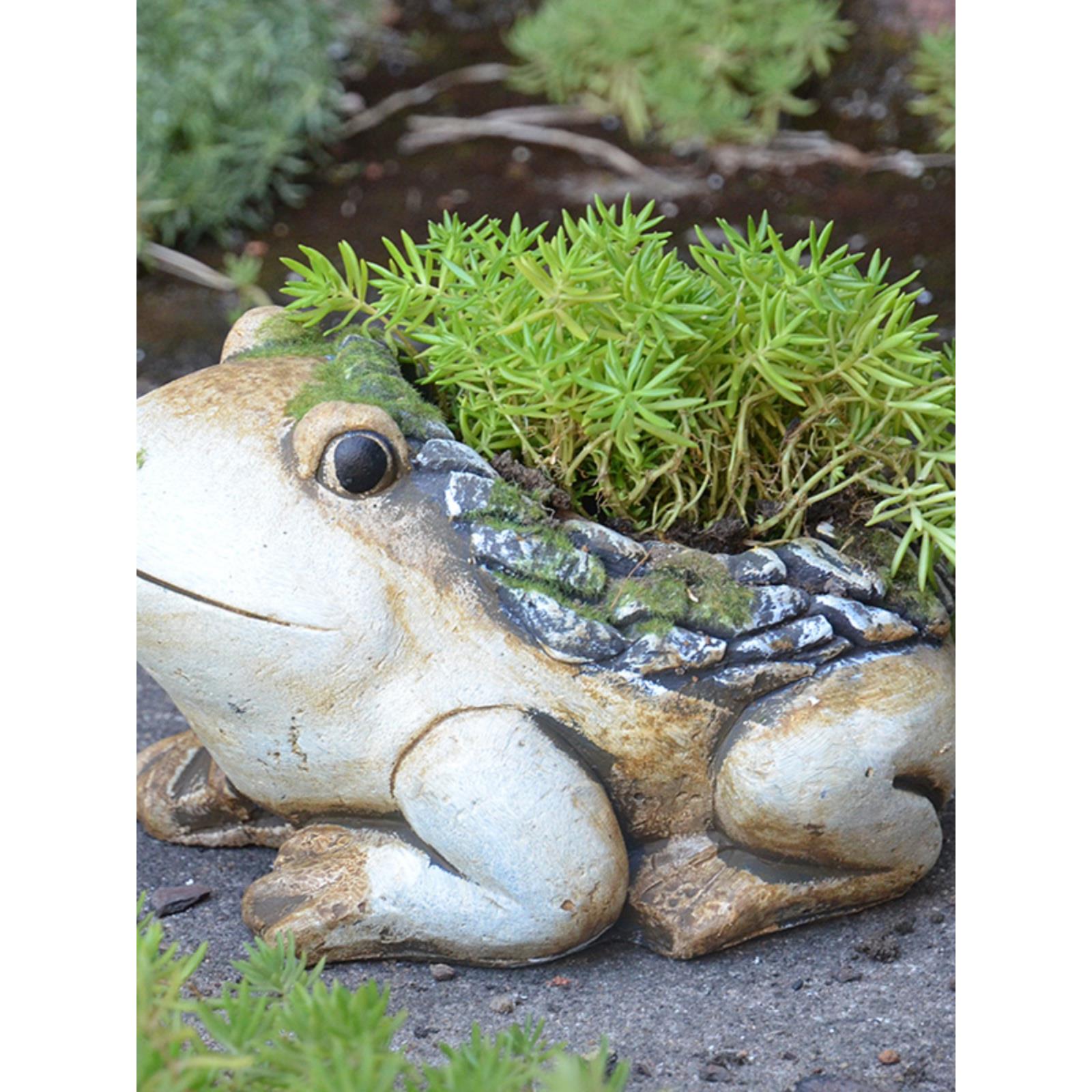花园庭院装饰青蛙动物水泥花盆多肉植物盆栽花器阳台园艺杂货摆件