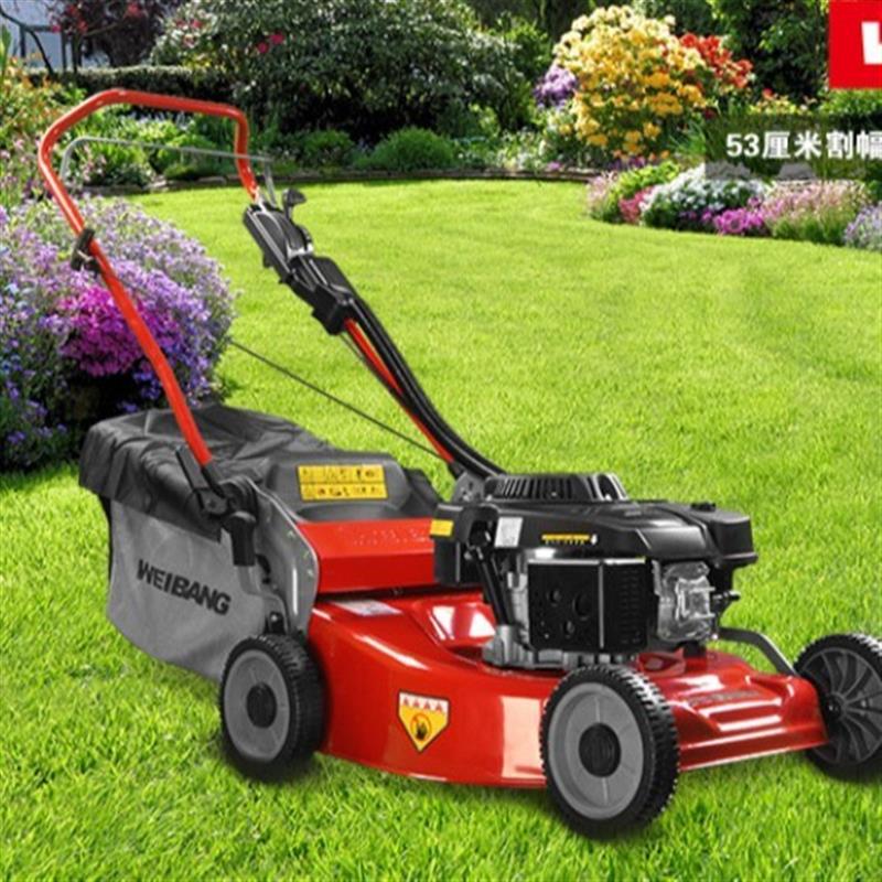 WB537HC草坪机21寸草坪机手推式割草机除草机推草机