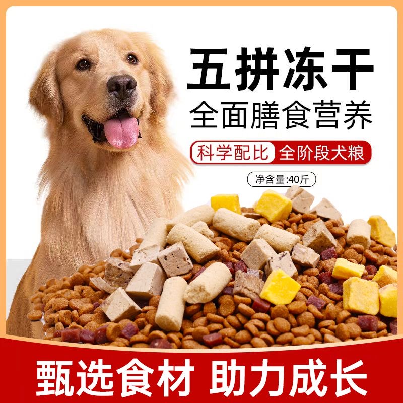 冻干肉粒五拼全阶段通用型狗粮泰迪比熊金毛柯基拉布拉多适用