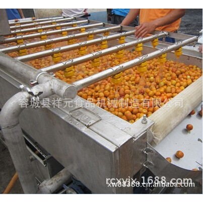 河北果蔬气泡清洗机 草莓 大枣 叶菜 清洗机 除沙机食品机械