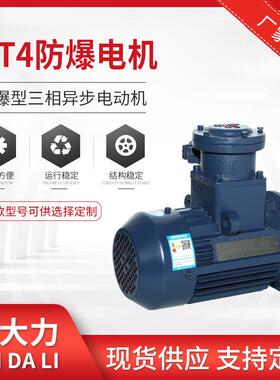 厂家CT4防爆电机隔爆型三相异步电动机CT4防爆电机