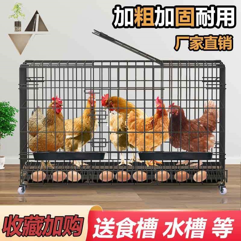 鸡笼子家用下蛋养殖笼自动清粪滚蛋大号特大号鸡窝鸡舍折叠养鸡笼