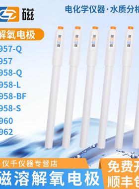 上海雷磁DO-957/957F溶解氧电极607A/608分析仪DO-958-BF-S-L