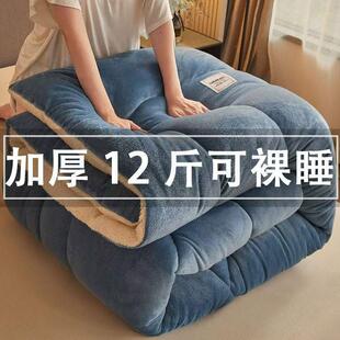 羊羔绒被子2025新款冬季棉被秋冬被加厚保暖10斤冬天宿舍单人被芯